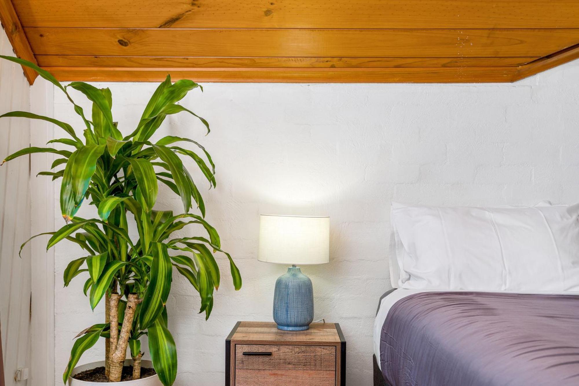 Aquarius Backpackers Resort Байрън Бей Екстериор снимка